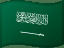 foto de equipo para Saudi Arabia