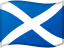 foto de equipo para Scotland
